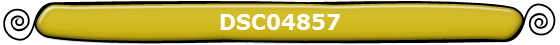 DSC04857
