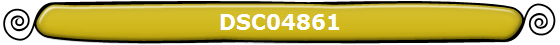DSC04861