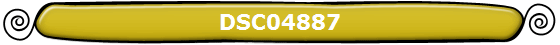 DSC04887