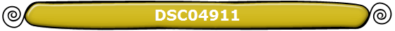 DSC04911