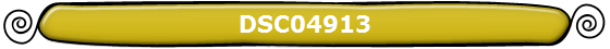 DSC04913