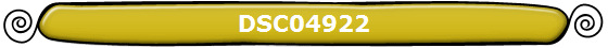 DSC04922