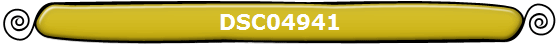 DSC04941