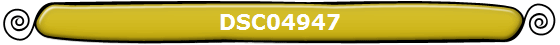 DSC04947