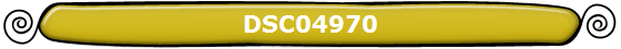 DSC04970