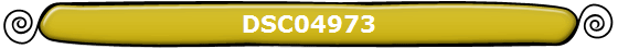 DSC04973